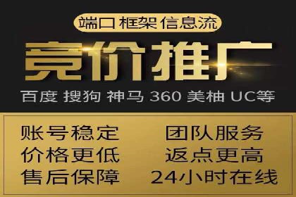 竞价广告在XX行业的成功应用案例